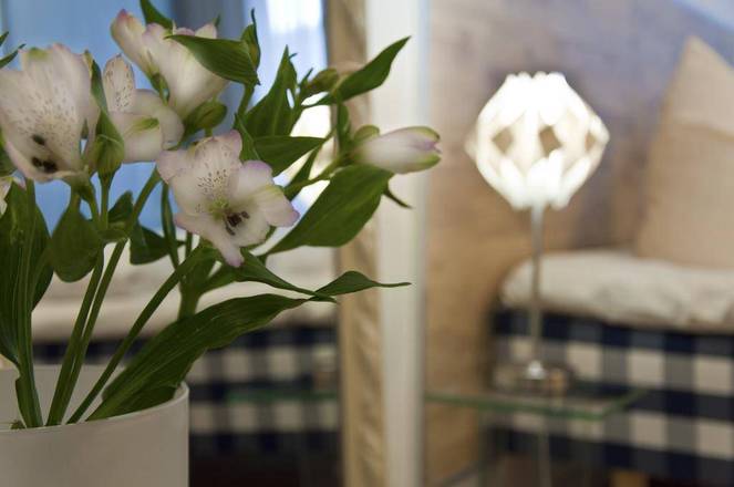 Domappartement, Cologne