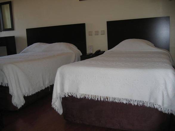 Avenida Porto - Bed & Breakfast, Porto