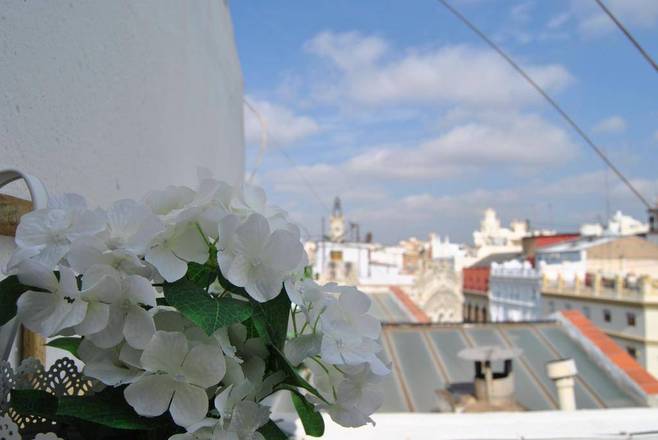 Sweet Hotel Continental, Valencia