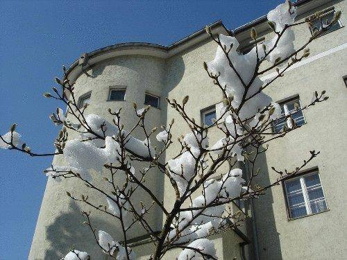 Haus Marillac, Innsbruck