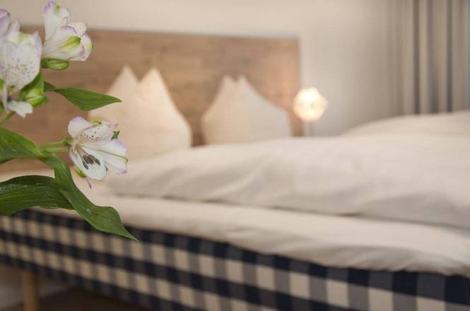 Domappartement, Cologne