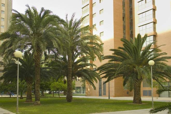 Apartamentos Plaza Picasso, Valencia