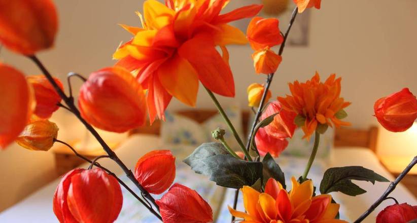 Pension Stoi budget guesthouse, Innsbruck